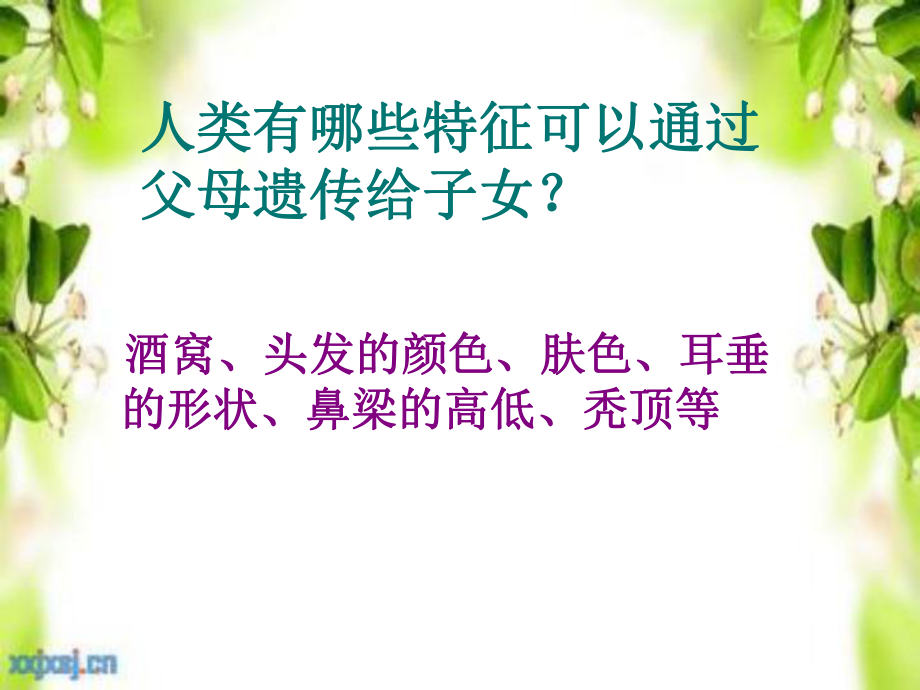 代代相传的特征-课件.ppt_第3页