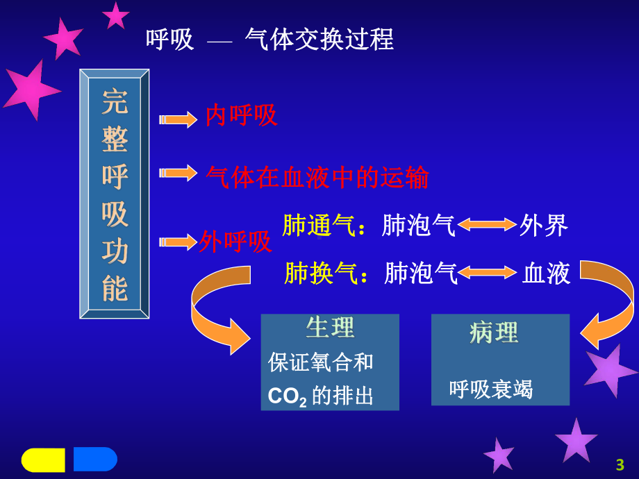 呼吸衰竭诊断与治疗课件.ppt_第3页