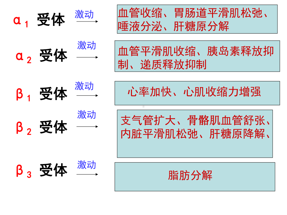 α激动药、β-激动药指导课件.ppt_第1页