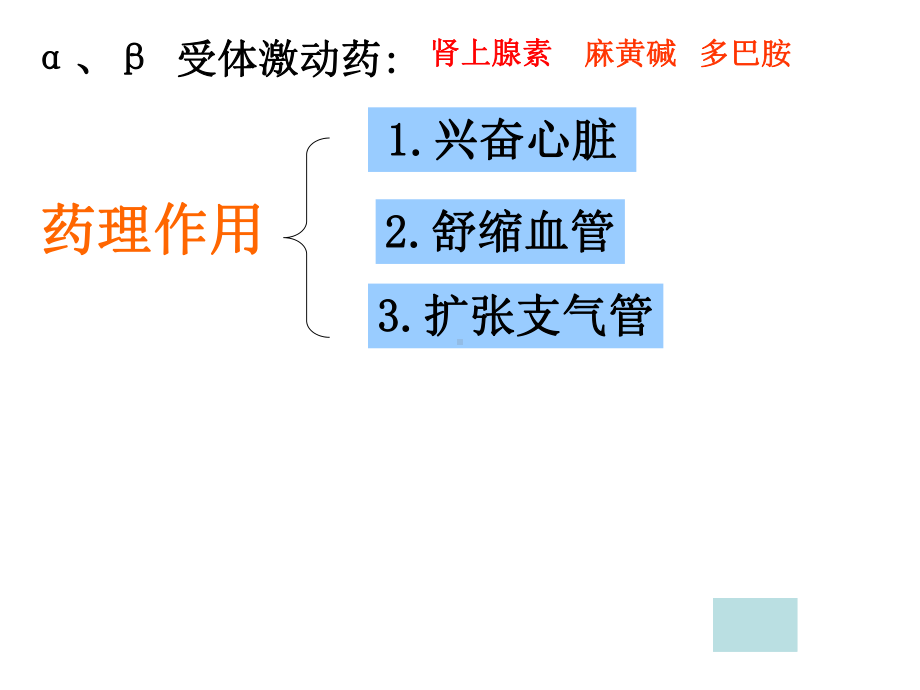 α激动药、β-激动药指导课件.ppt_第2页