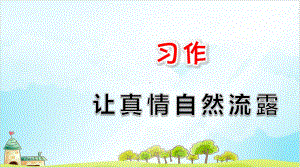 《习作：让真情自然流露》—人教部编版习作：让真情自然流露9课件.pptx