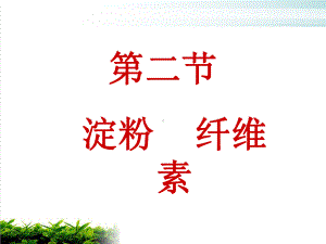 《淀粉纤维素》课件-人教版.ppt