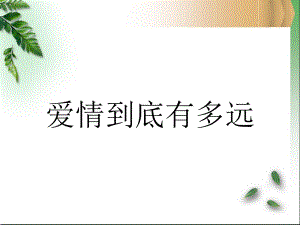 《广告中的爱情》课件.ppt