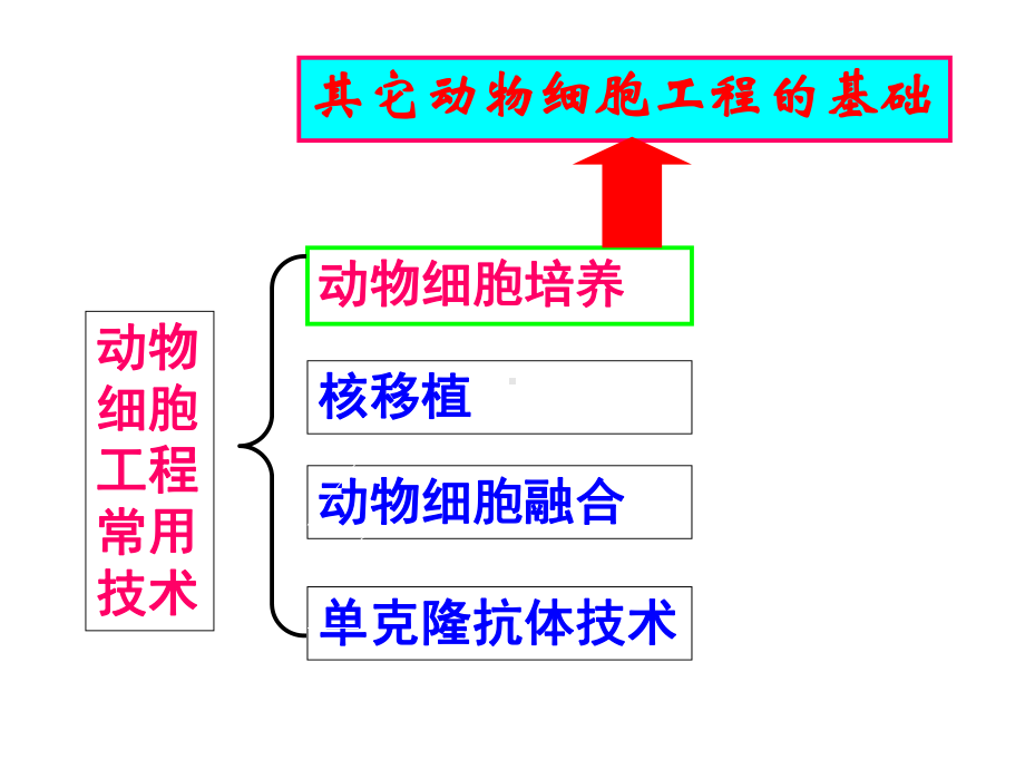 动物细胞工程hao课件.ppt_第3页