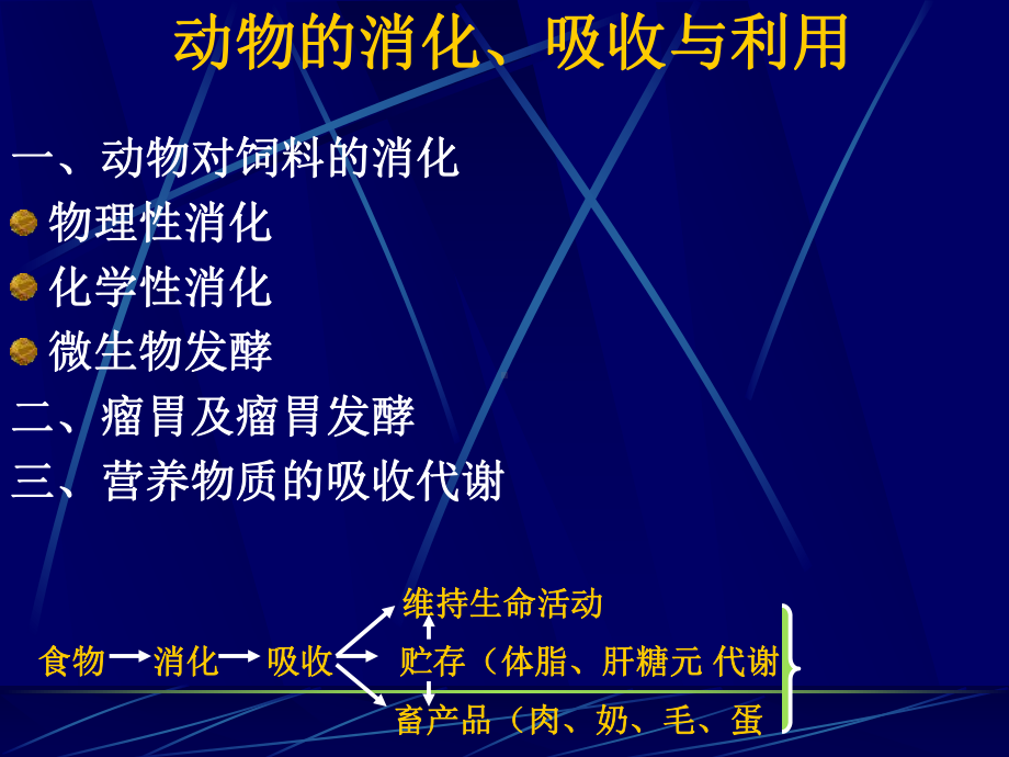 动物消化吸收课件.ppt_第1页