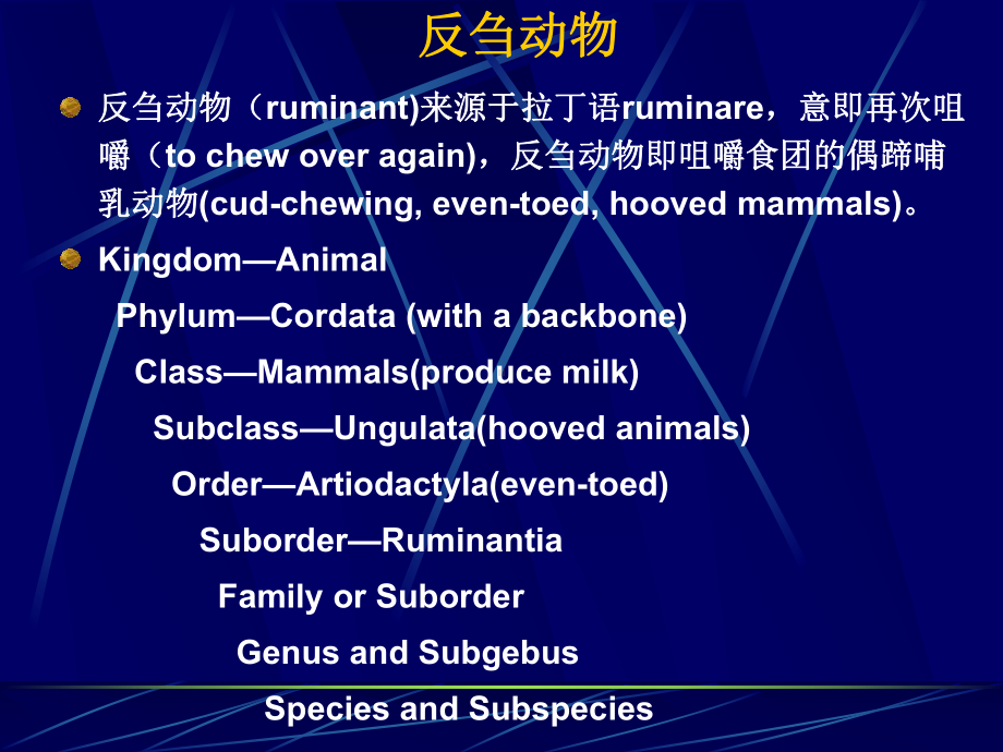 动物消化吸收课件.ppt_第2页