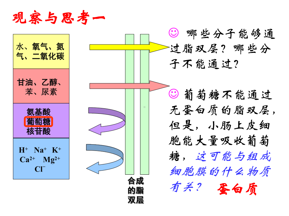 人教版高中生物必修一第四章第3节《物质跨膜运输的方式》优秀课件(21张)-(共21张).ppt_第3页