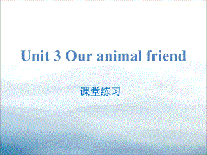 《Our-animal-friends》课堂练习课件.pptx