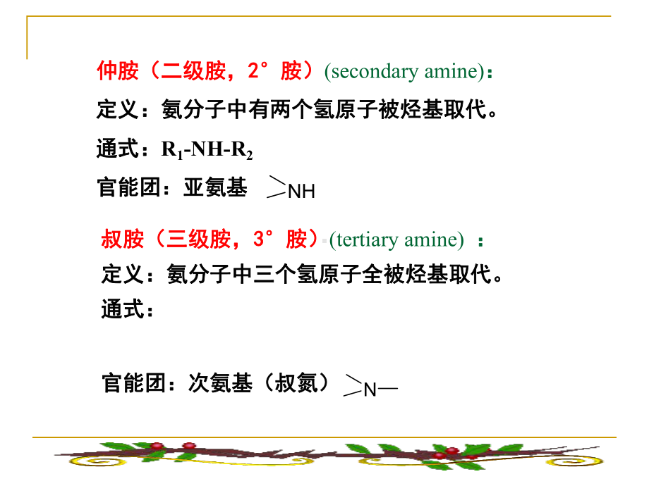 医学有机化学第十章含氮有机化合物课件.ppt_第3页