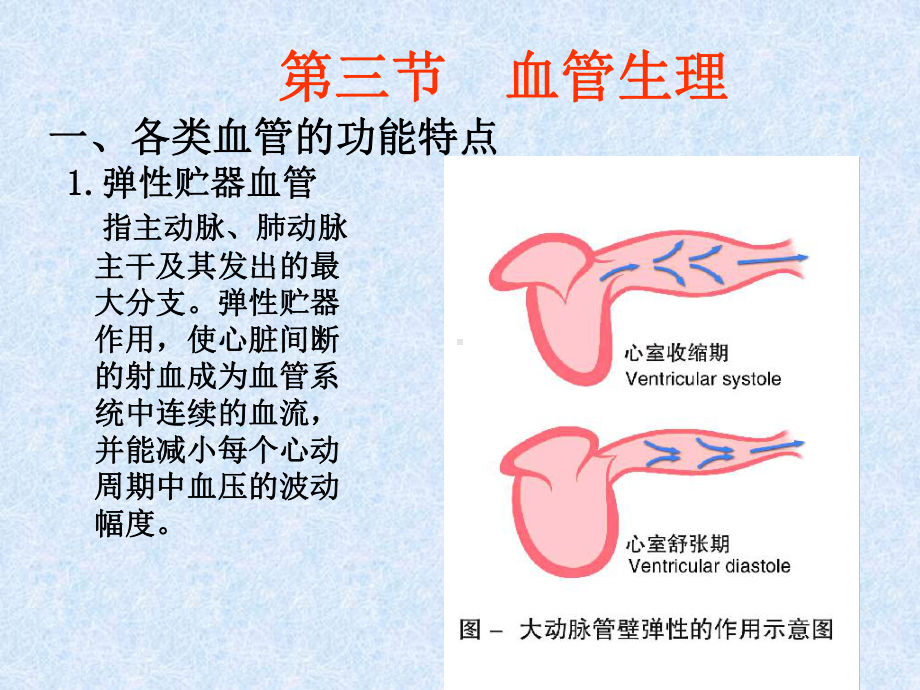 《血管生理课件.ppt_第1页