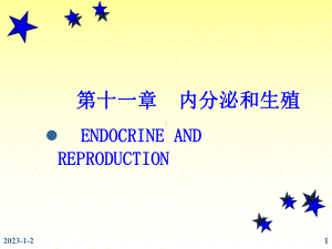 内分泌系统-11共87张课件.ppt