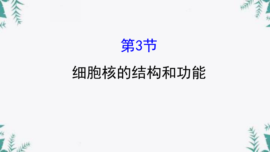 《细胞核的结构和功能》细胞的基本结构优质教学公开课件.pptx_第1页