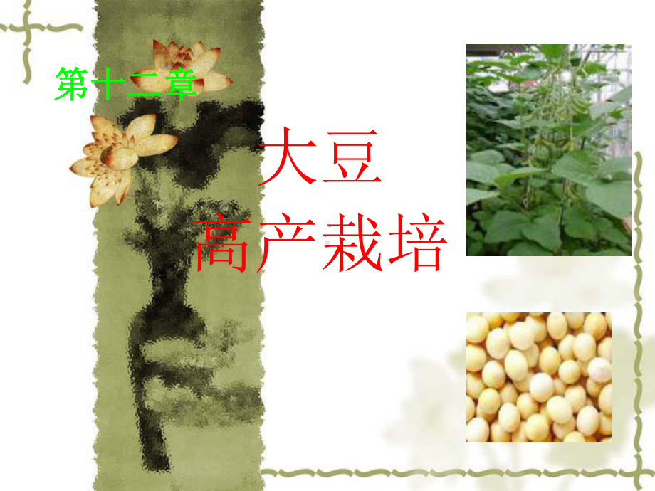 大豆高产栽培-课件.ppt_第1页