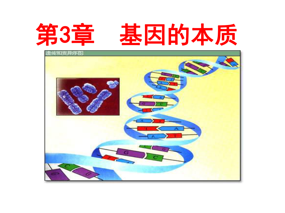 基因的本质课件-.ppt_第1页