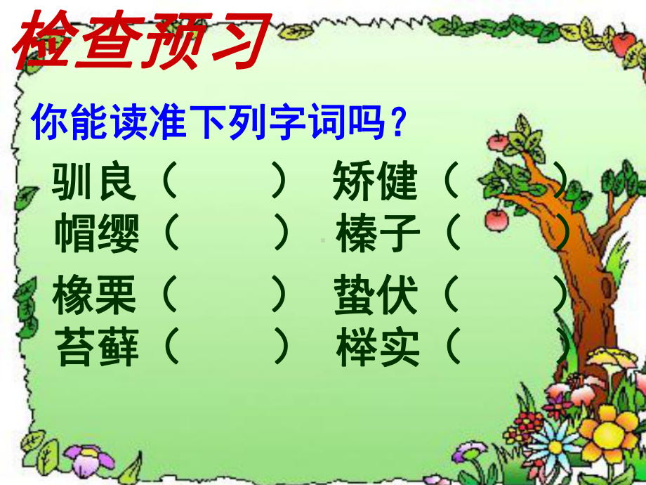 《松鼠》教学课件.ppt_第1页