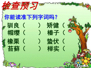 《松鼠》教学课件.ppt