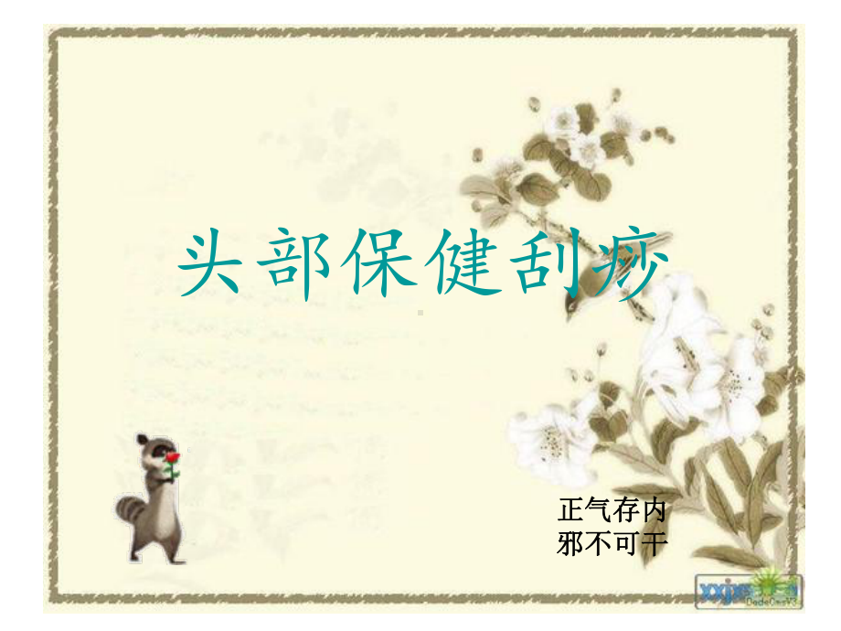 头部保健刮痧概要课件.ppt_第1页