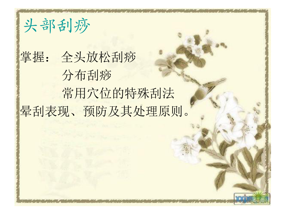 头部保健刮痧概要课件.ppt_第2页