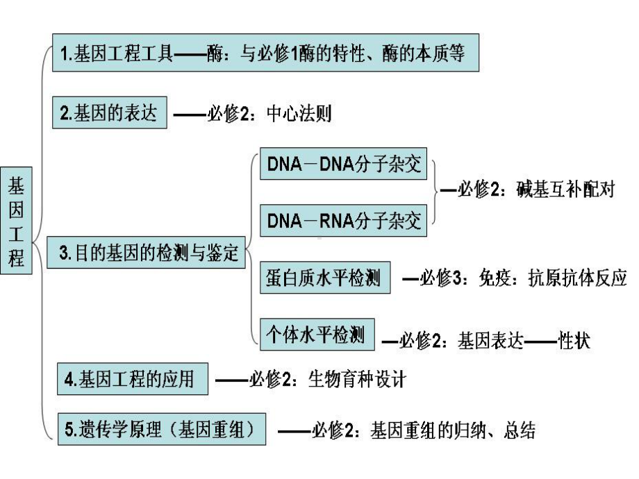 双基考试前综合复习课件.ppt_第3页