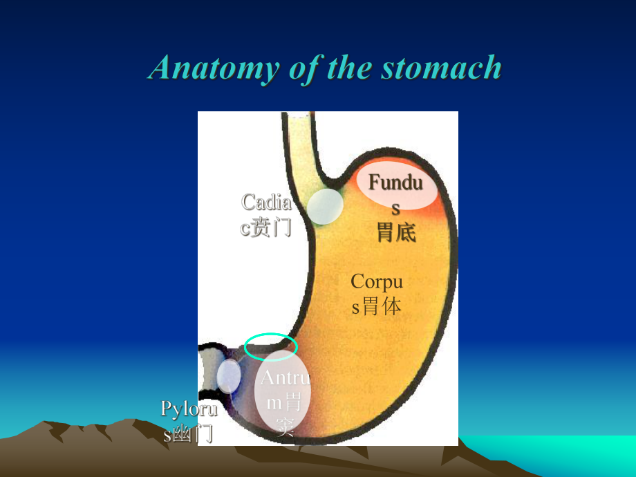 内科学课件：慢性胃炎.ppt_第3页