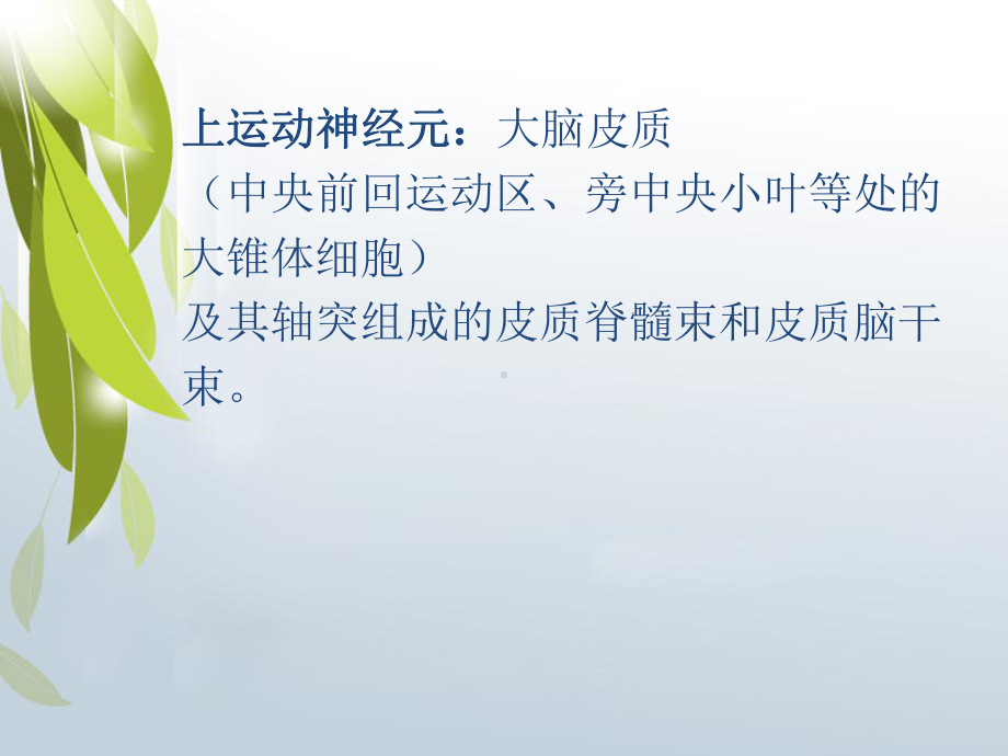 上下运动神经元特点课件.ppt_第2页