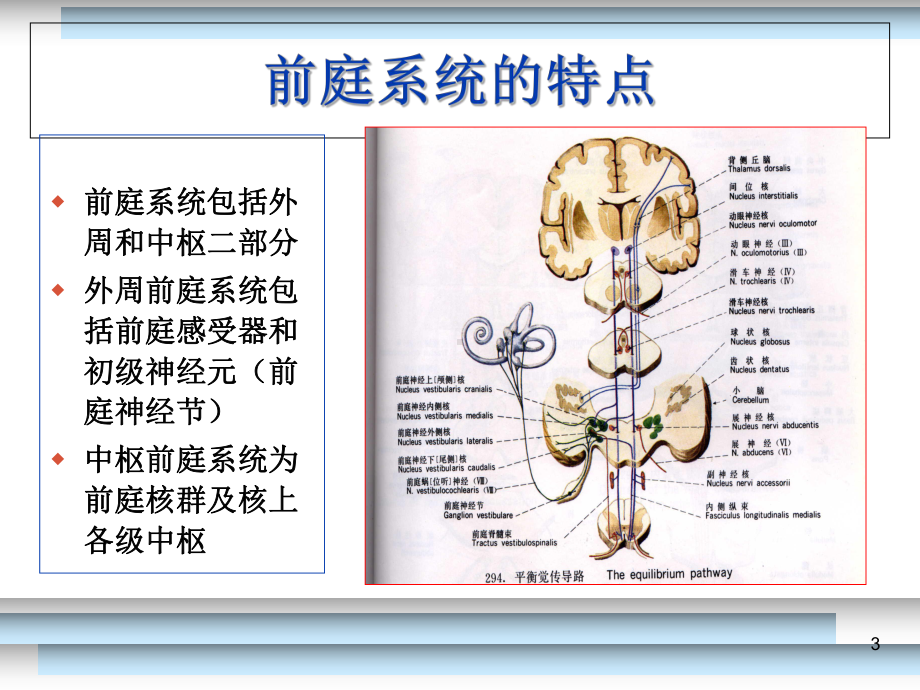 位置性眩晕诊断与治疗讲课课件.ppt_第3页