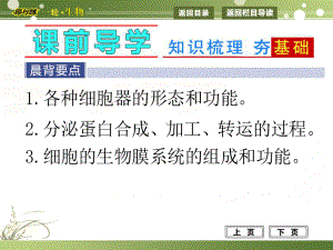 在洁净的载玻片中央滴一滴清水用镊子取一片藓类的小叶或者取菠菜课件.ppt