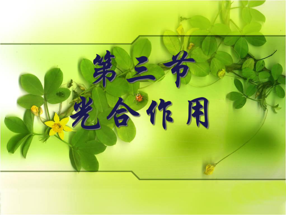 《光与光合作用》课件.ppt_第1页