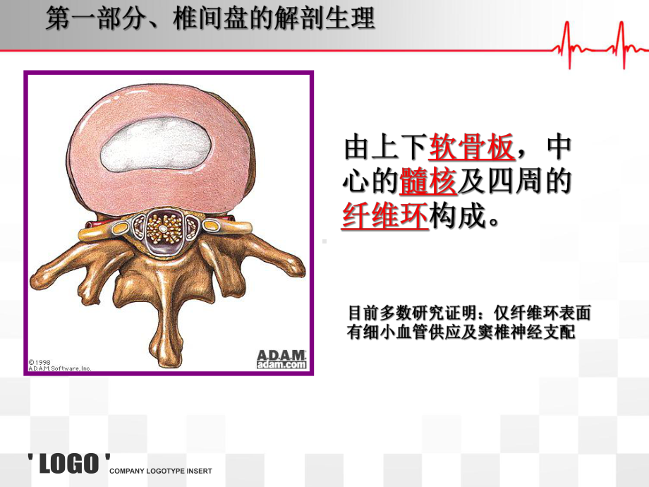 后路椎间盘镜下髓摘除术的手术配合课件.ppt_第3页