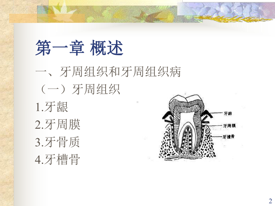 口腔内科学5牙周组织病-课件.ppt_第2页