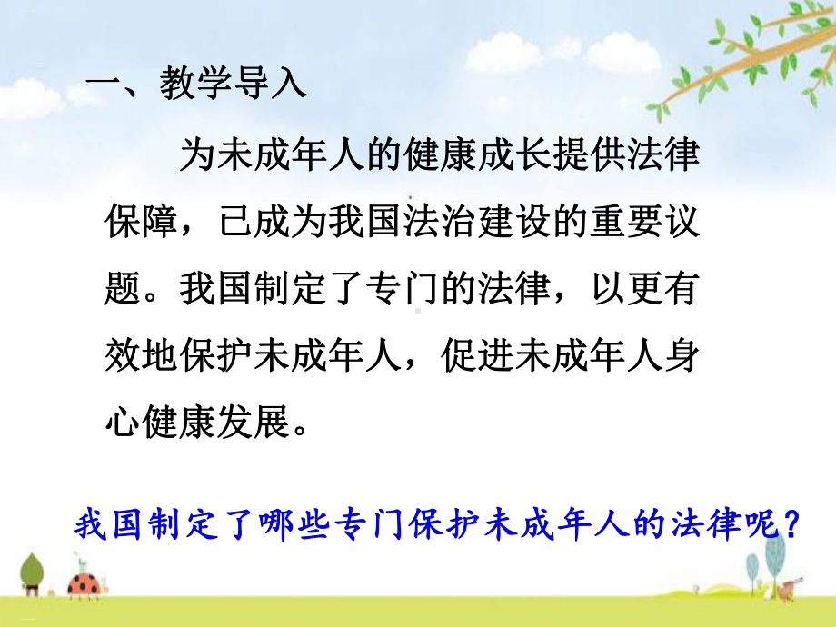 专门法律来保护优质课件.ppt_第2页