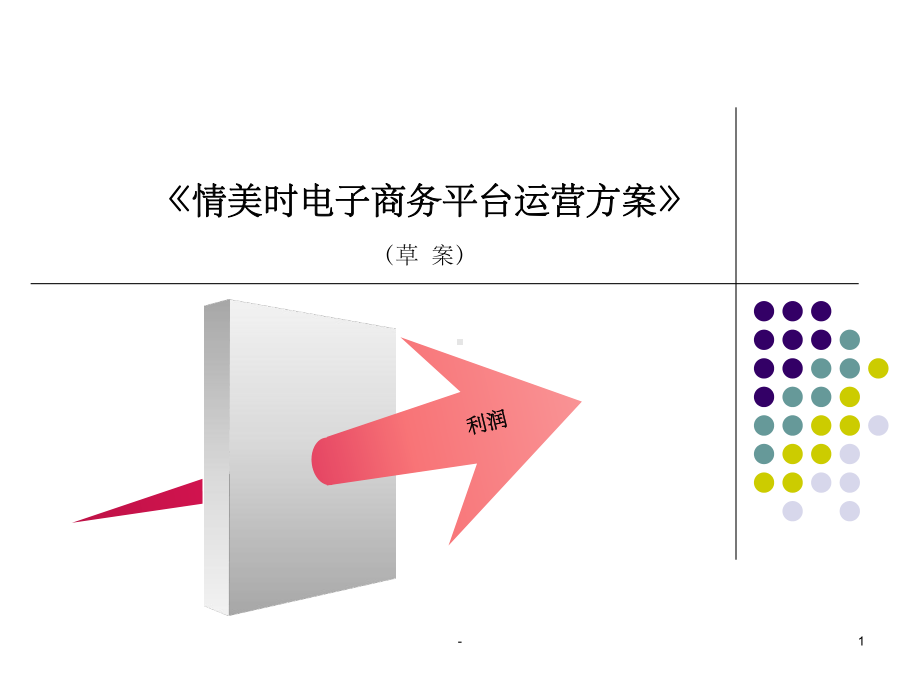 品牌电商运营方案.ppt_第1页