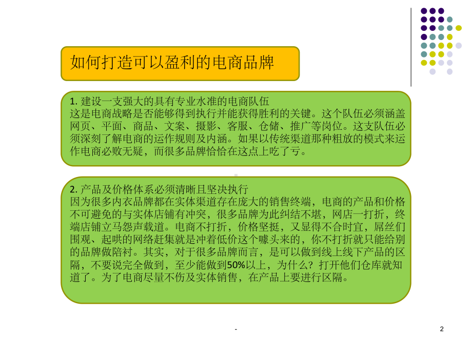 品牌电商运营方案.ppt_第2页