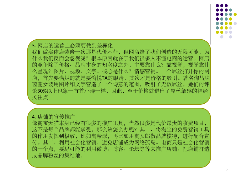 品牌电商运营方案.ppt_第3页