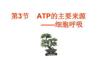 呼吸作用一课件.ppt