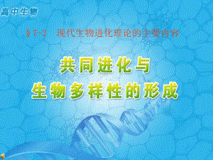 人教版高中生物必修2课件7-3-共同进化与生物多样性的形成课件.ppt