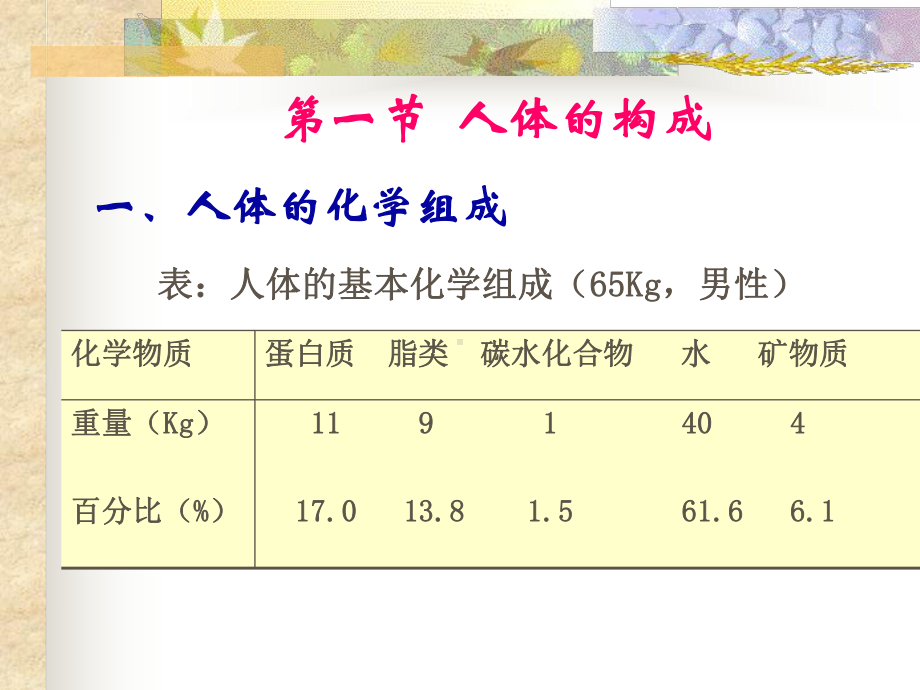 人体的结构与代谢课件.ppt_第2页