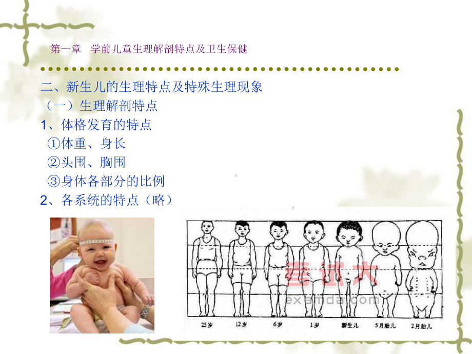 一章学前儿童生理解剖特点及卫生保健课件.ppt_第2页