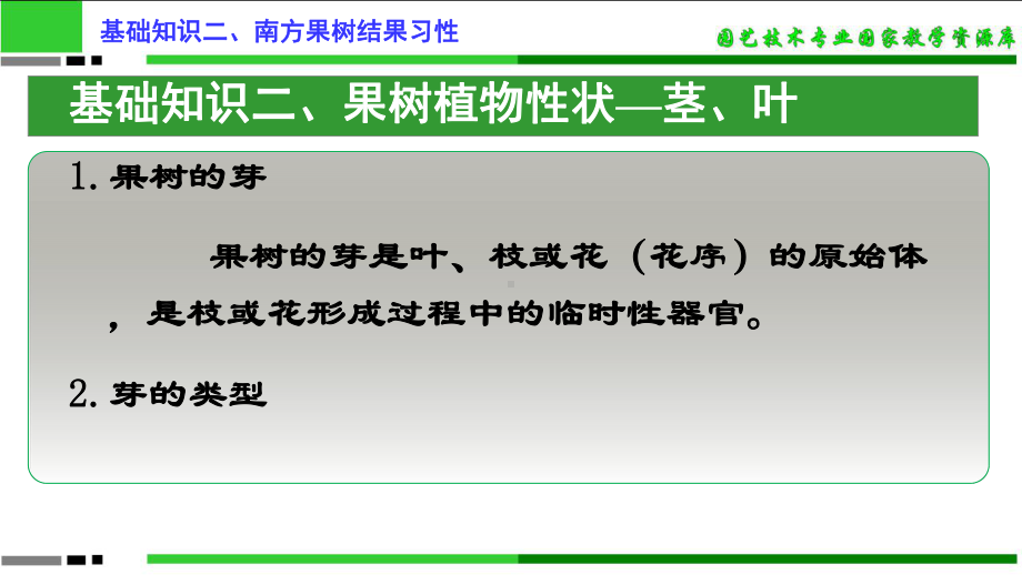 基础知识二、南方果树结果习性-茎、叶课件.ppt_第2页