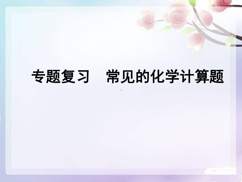 专题复习常见的化学计算题课件.ppt_第1页