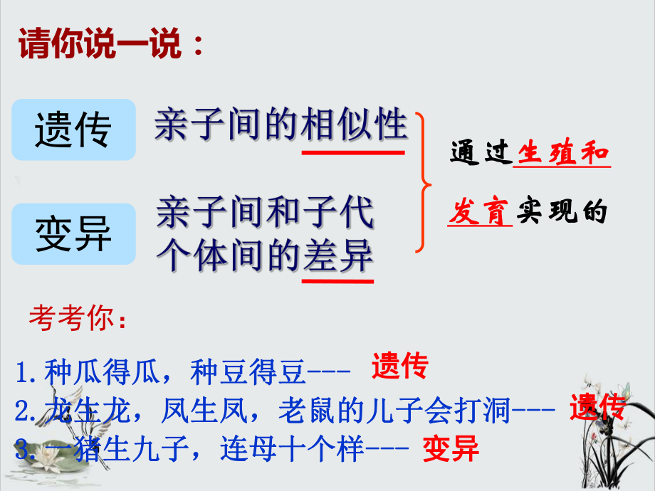 《基因控制生物的性状》优秀课件人教版1.ppt_第3页