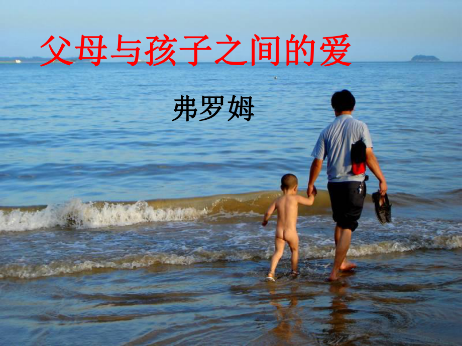 《父母与孩子之间的爱》上课件.ppt_第2页