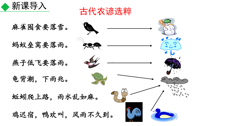 《大自然的语言》完美课件部编版1.pptx_第1页