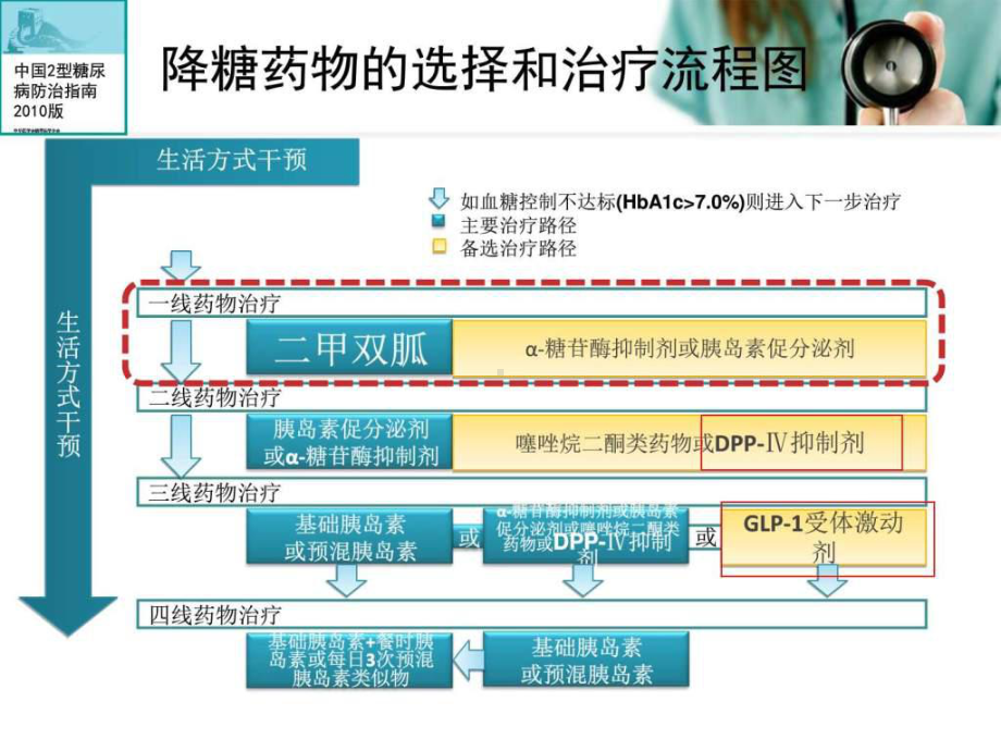 《肠促胰素类药物》课件.ppt_第3页