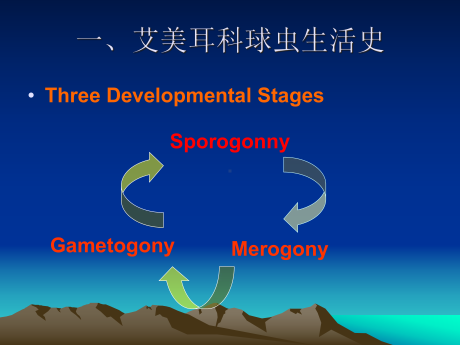 兽医原虫和原虫病学课件.ppt_第2页