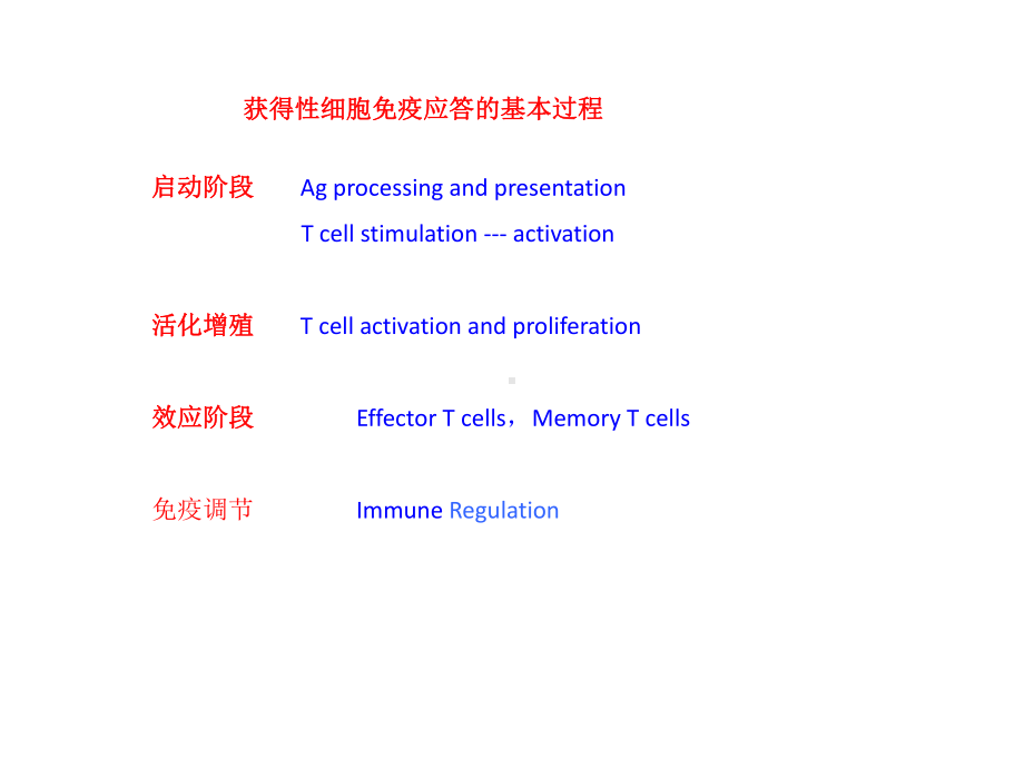 大学课程医学免疫学获得性细胞免疫应答课件.pptx_第3页