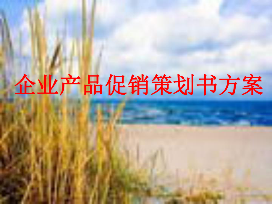 企业产品推广课件.ppt_第1页