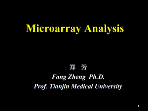 分子生物学研究进展05Biochip1029课件.ppt