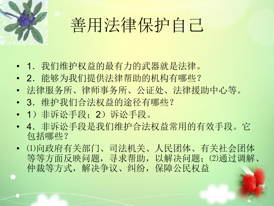 《善用法律保护自己》法律护我成长4-精选优质课件.ppt_第2页