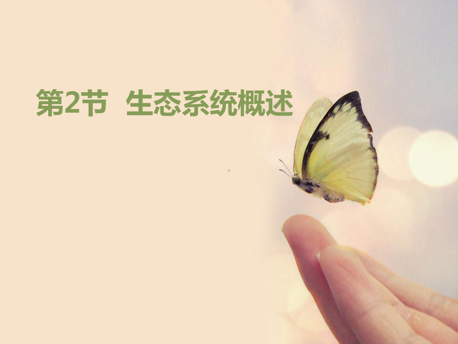 《生态系统概述》课件.pptx_第1页